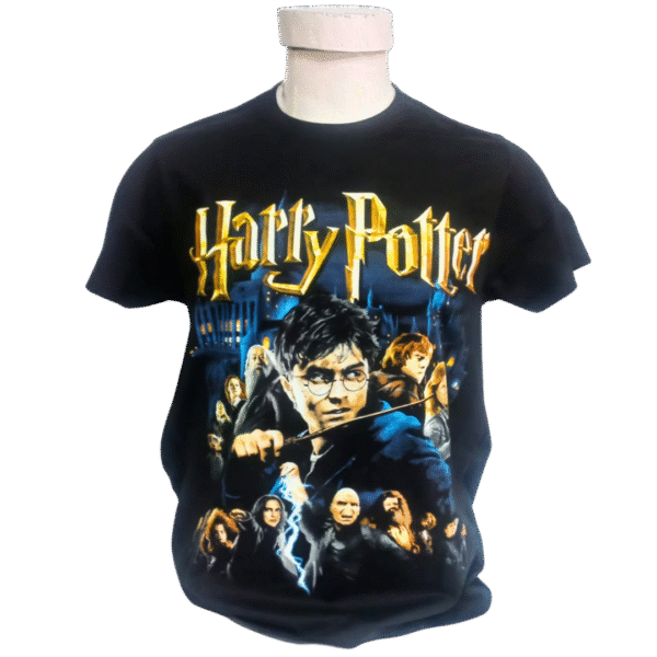 Polera Harry Potter